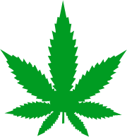 Home icon hybrid