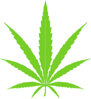 Home icon sativa